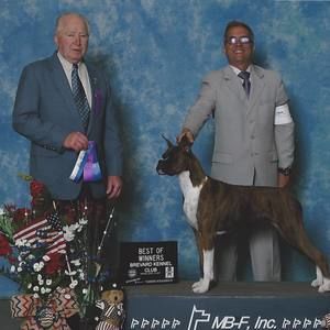 Meet your Posher, Lori